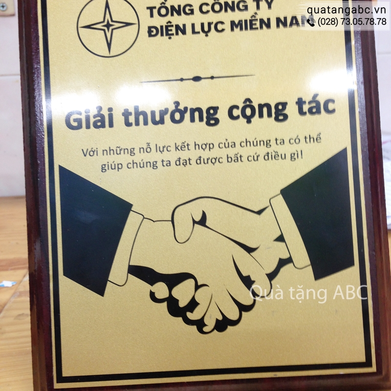 Kỷ Niệm Chương Gỗ Đồng Của Công Ty Điện Lực Việt Nam